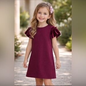 Dex Red Girls Dress in Burgundy with Velvet Ruffle Sleeves.NWOT
